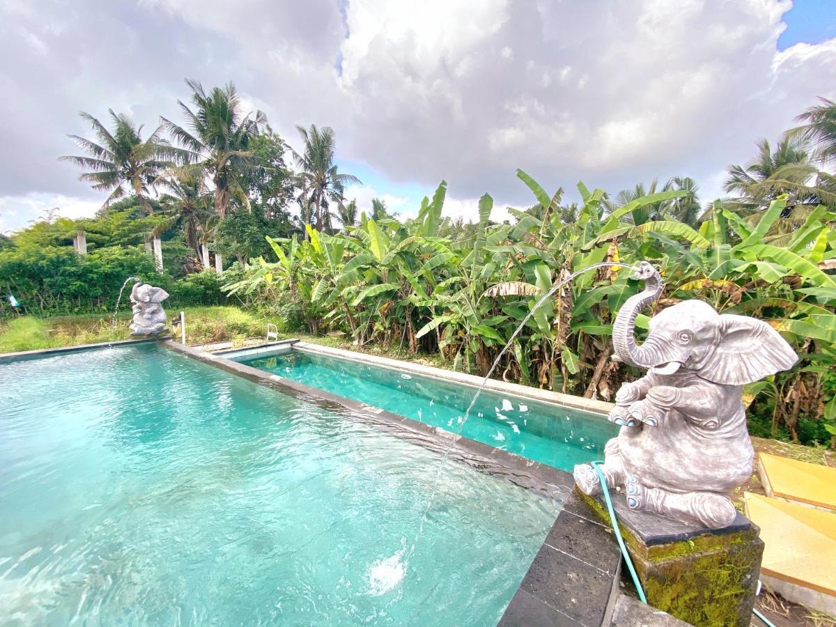 Rice Field House Hostel Ubud (Bali)