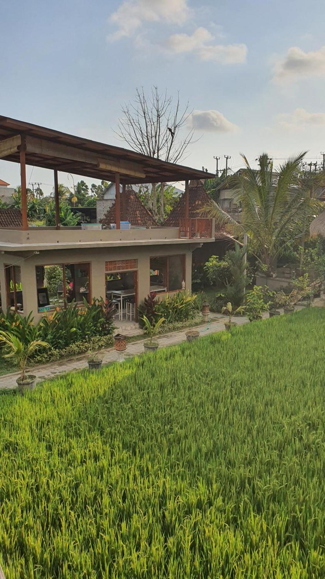 Hostel Rice Field House Ubud (Bali)
