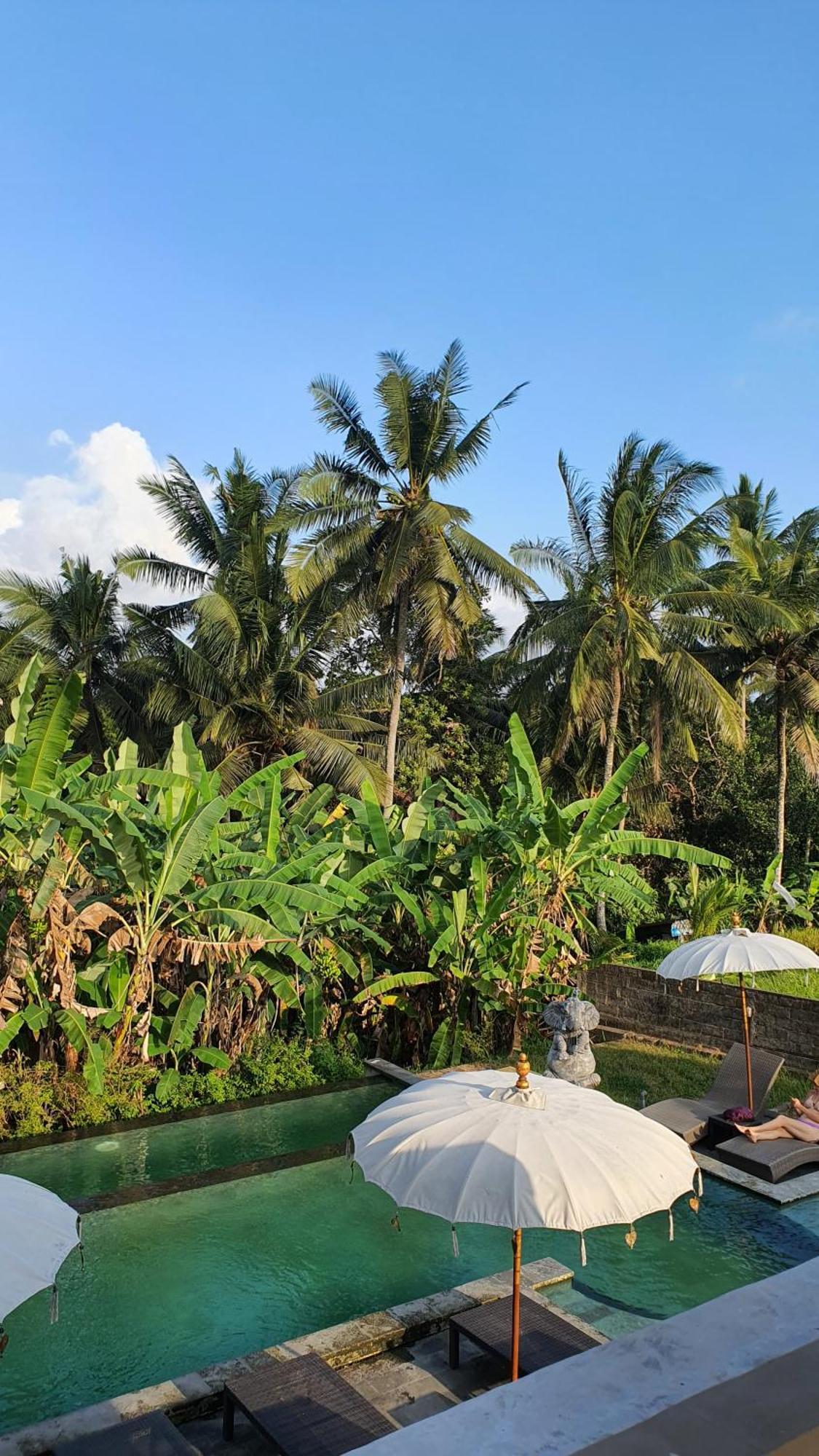 Rice Field House Ubud (Bali)